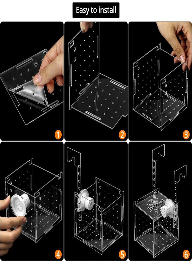 QWORK Acrylic Fish Breeding Isolation Box - Transparent Aquarium Incubator for Small Fishes Shrimp Clownfish Guppy, 3.9-inch - Image 4